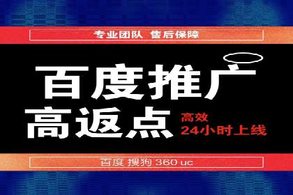 落地页在SEM优化中的重要性及成功案例